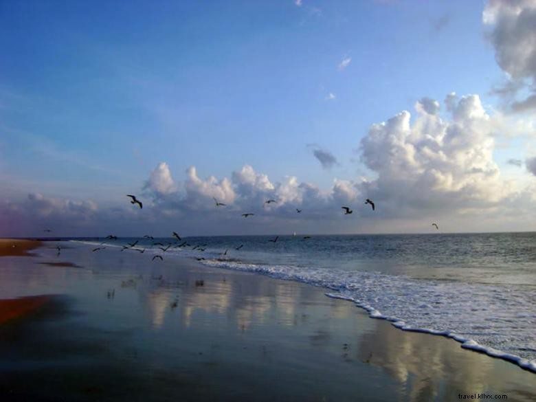 Locations de vacances à Tybee 