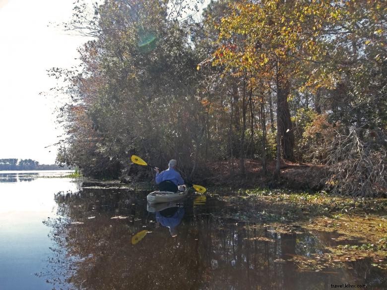 Reed Bingham State Park 