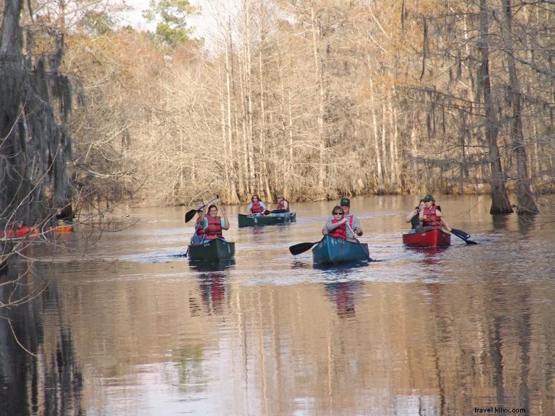 Reed Bingham State Park 