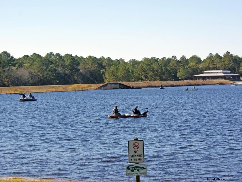 Reed Bingham State Park 