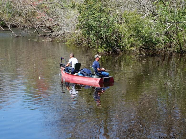 Reed Bingham State Park 