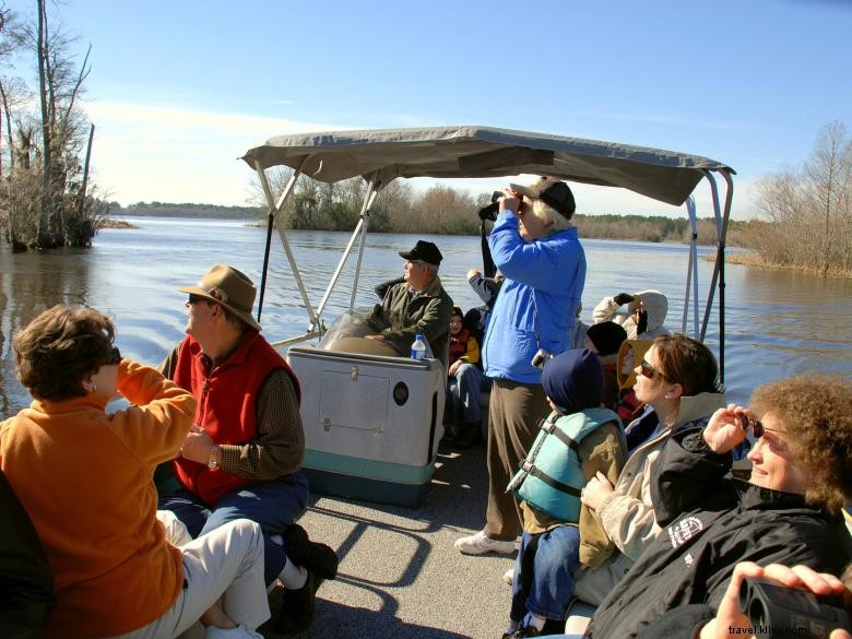 Reed Bingham State Park 