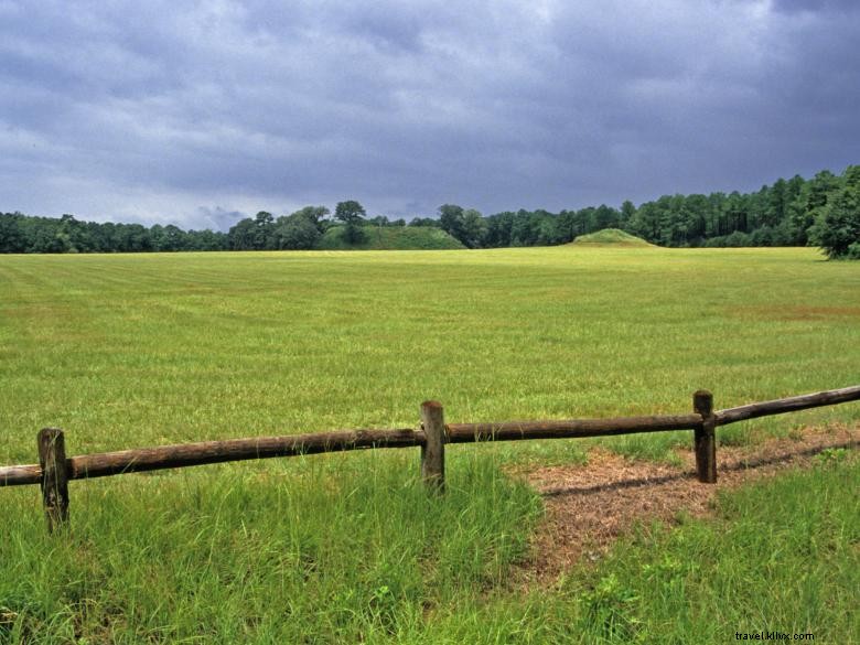 Parque estatal Kolomoki Mounds 