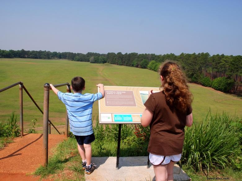 Parco statale di Kolomoki Mounds 