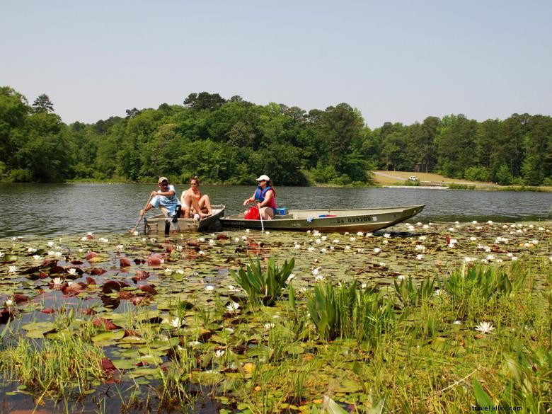 Taman Negara Bagian Kolomoki Mounds 