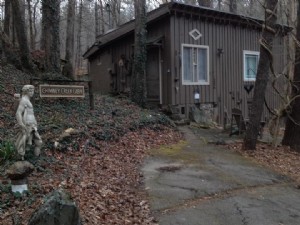 Chimney Creek Cabin 