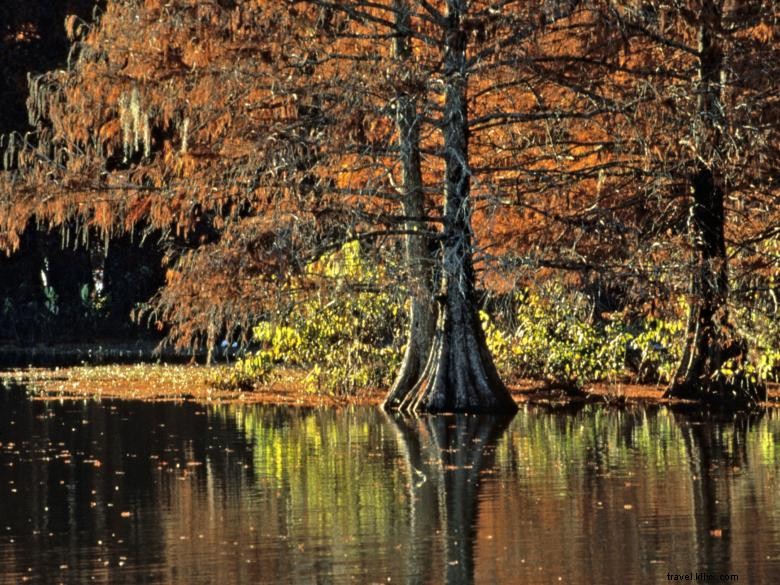 Georgia Veterans State Park &​​Resort 