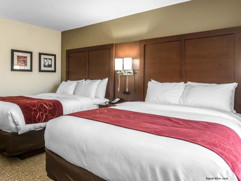 Comfort Inn &Suites West Macon 