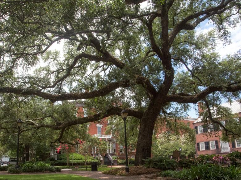 Penginapan Bersejarah di Savannah 