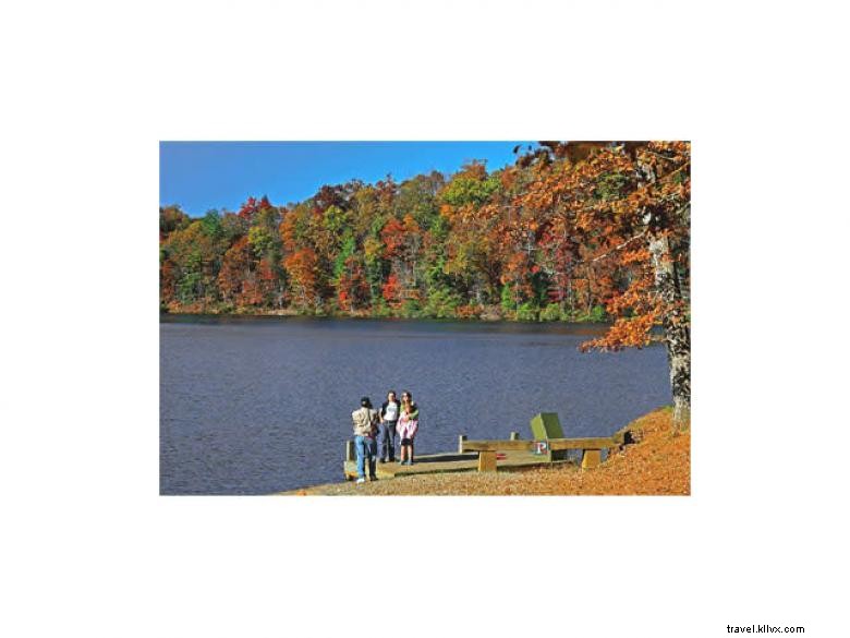 Área recreativa de Dockery Lake 