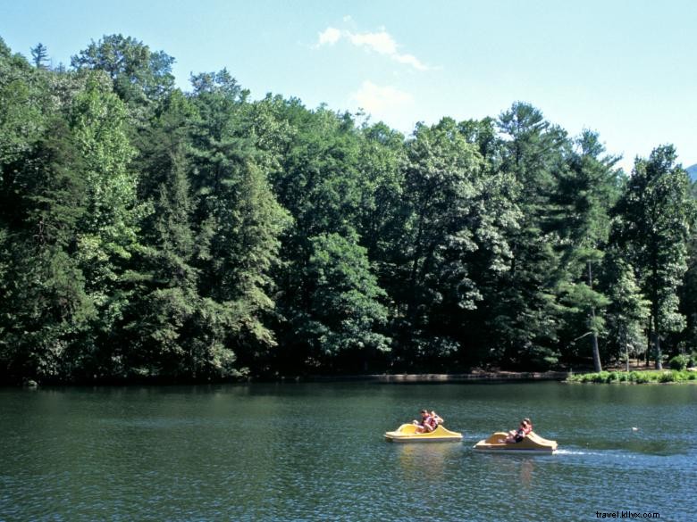 Parc d État de Vogel 