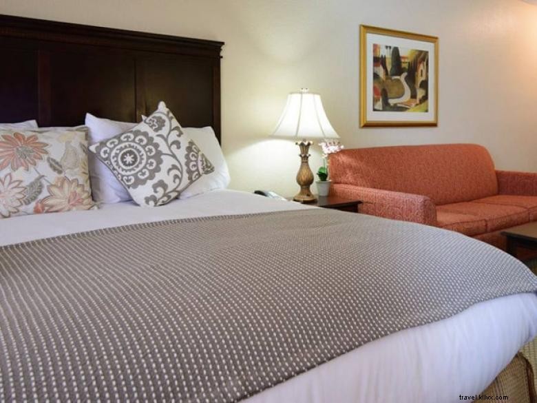 Regency Suites Hotel Midtown Atlanta 