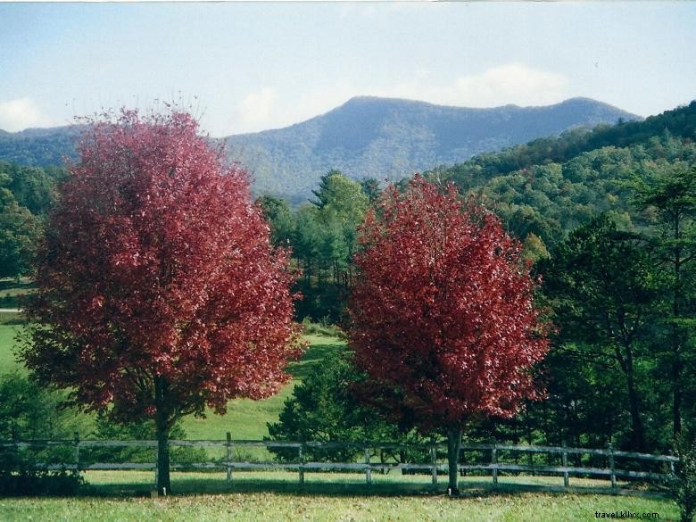 2s Company Farm Creek Cabins 