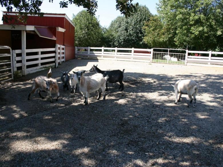 2s Company Farm Creek Cabins 