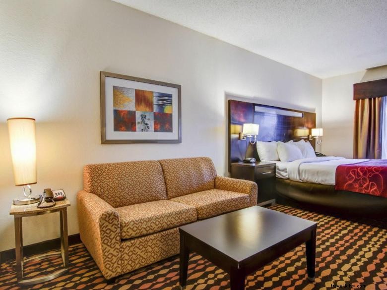 Comfort Suites Gwinnett Medical Center Area 