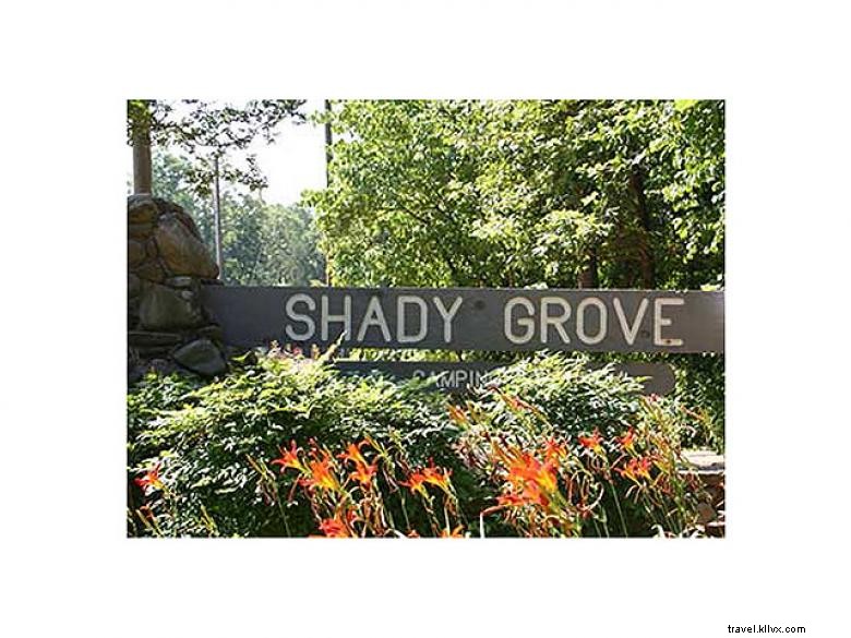 Perkemahan Shady Grove 