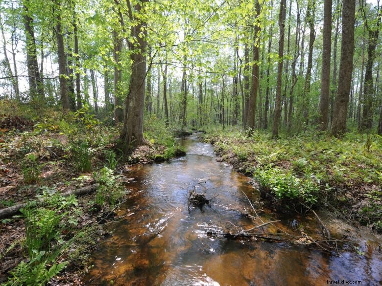 Terrain de camping de la zone de pêche publique McDuffie 