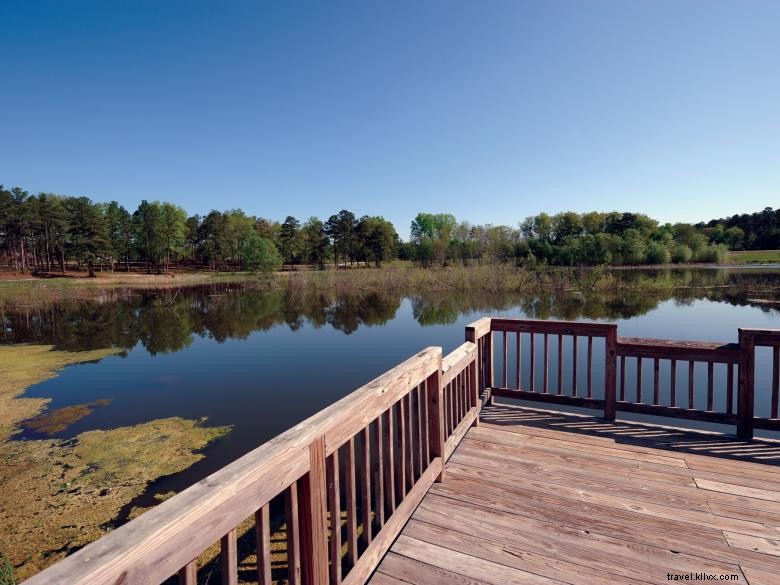 McDuffie Public Fishing Area Campground 