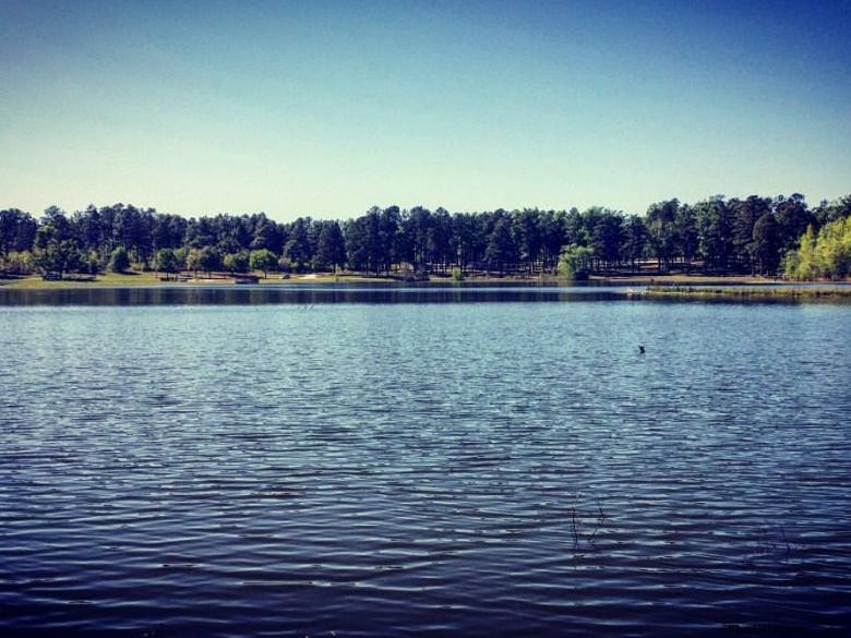 McDuffie Public Fishing Area Campground 