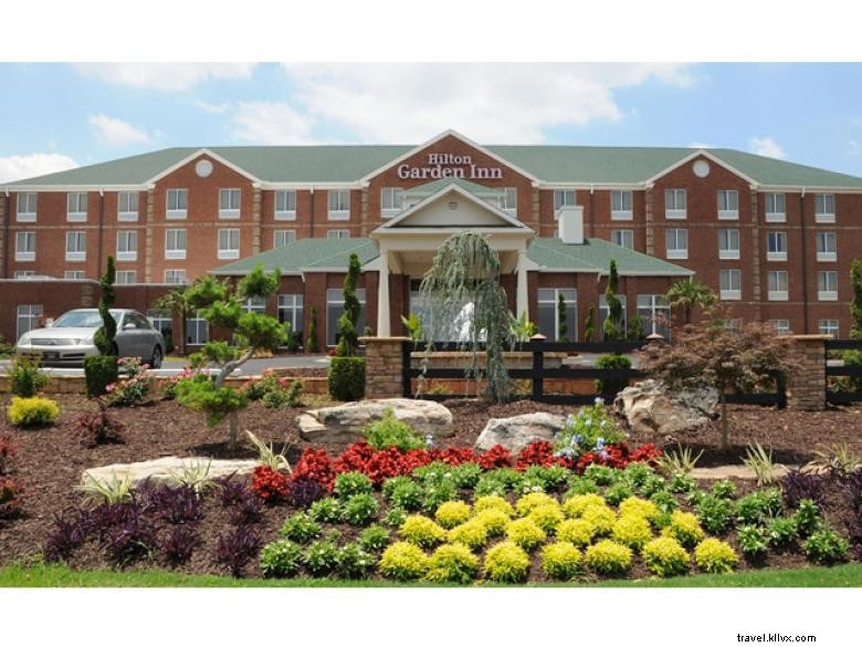 Hilton Garden Inn Atlanta Sur-McDonough 