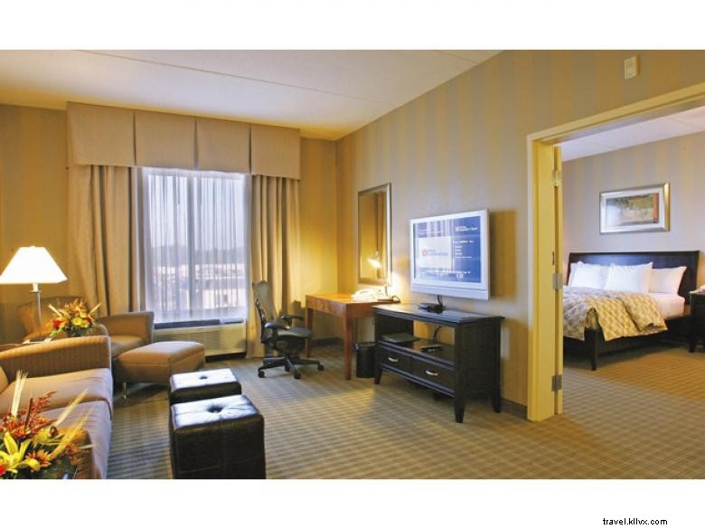 Hilton Garden Inn Atlanta Sur-McDonough 