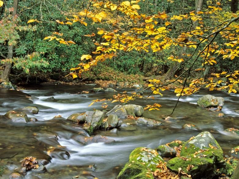 Mocassin Creek State Park 