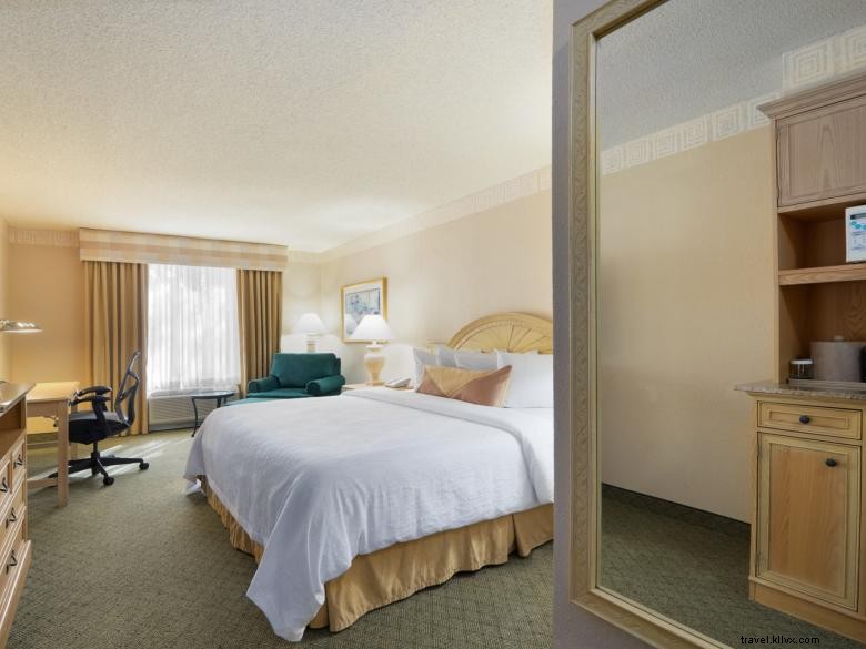 Hilton Garden Inn Atlanta Norte / Johns Creek 