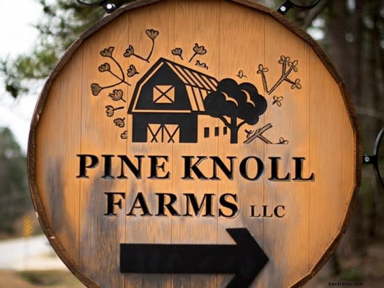 Las cabañas en Pine Knoll Farms 