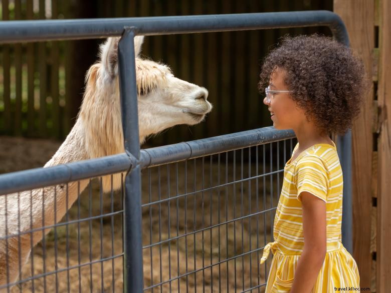 Casa de campo Decatur Alpaca 