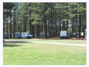 Parque e acampamento para recreação Pine-Der-Rosa 
