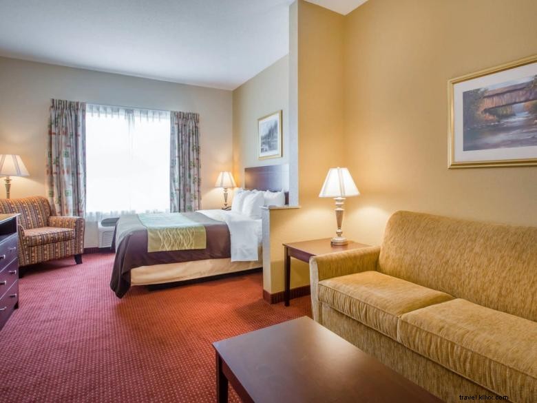 Comfort Inn Blackshear 