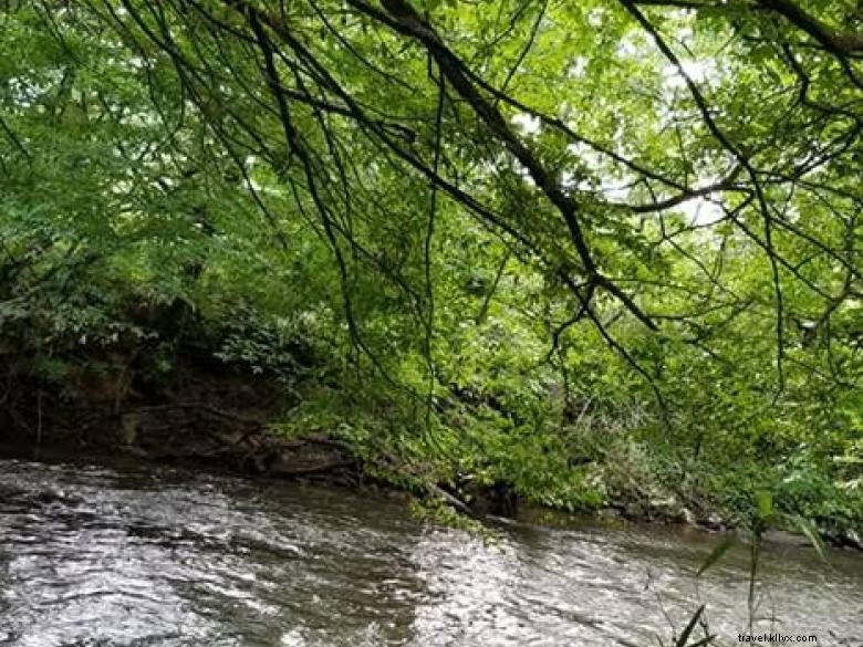 Nottely River Campeggio 