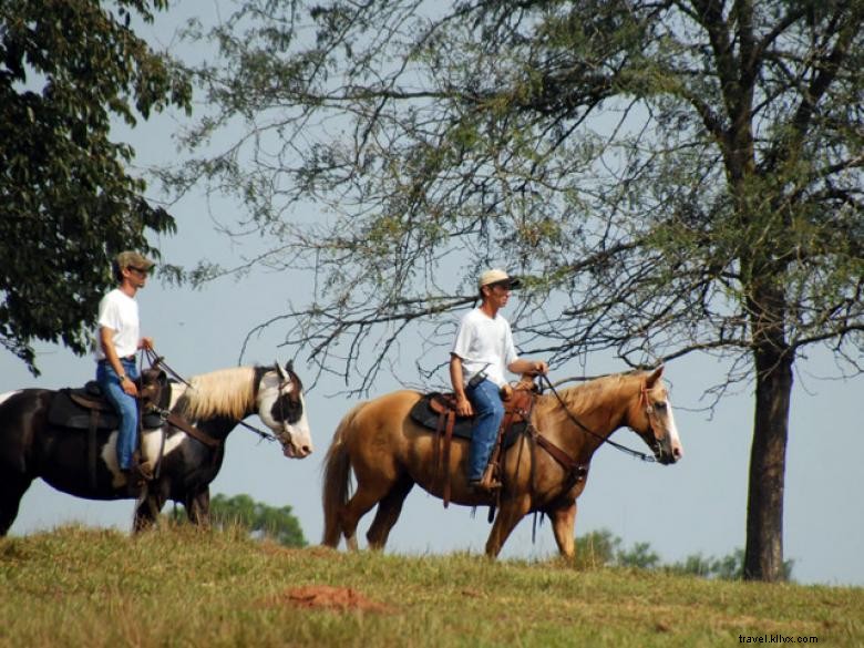 Rancho de invitados de Southern Cross 