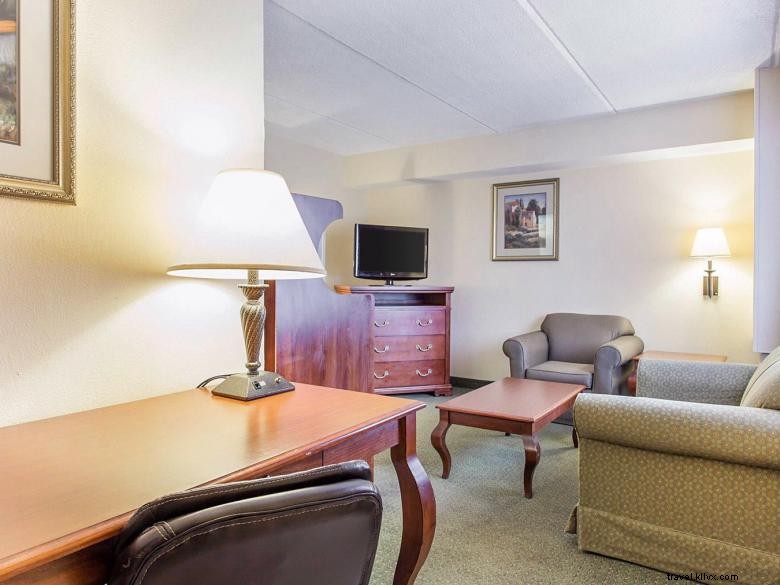 Econo Lodge Inn &Suites Griffin 