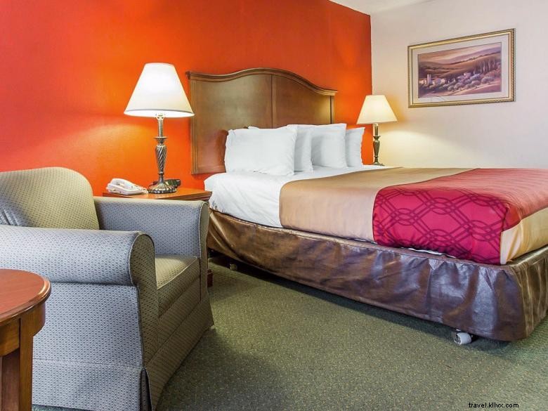 Econo Lodge Inn &Suites Griffin 