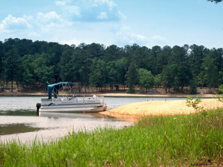 Taman Negara Bagian Elijah Clark 