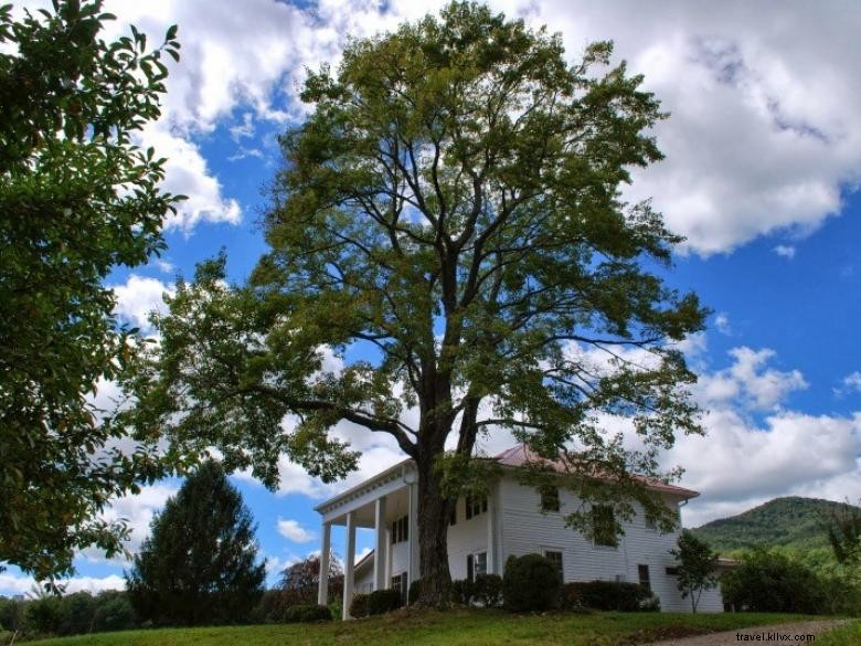 Ferme de laurier de montagne 