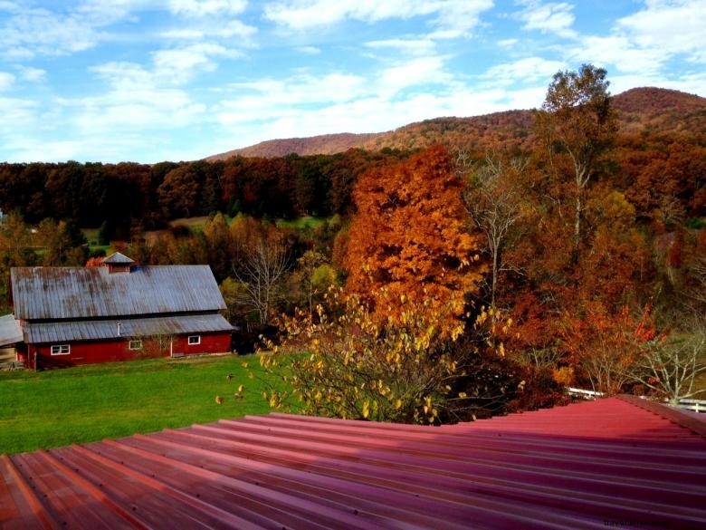 Ferme de laurier de montagne 