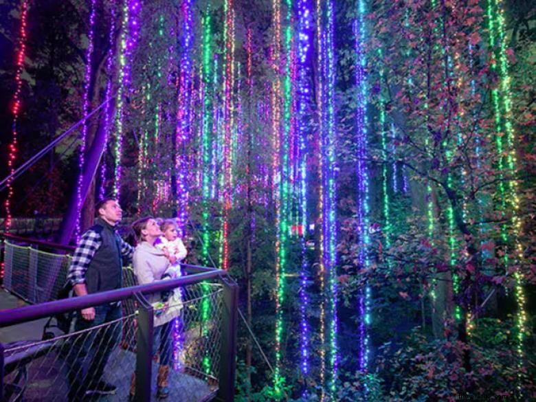 Luzes de jardim, Noites de férias 