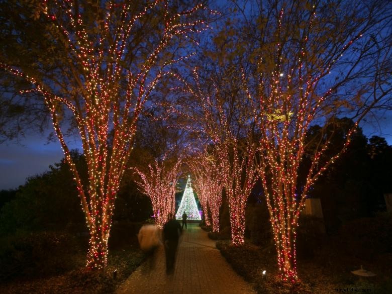 Lumières de jardin, Nuits de vacances 