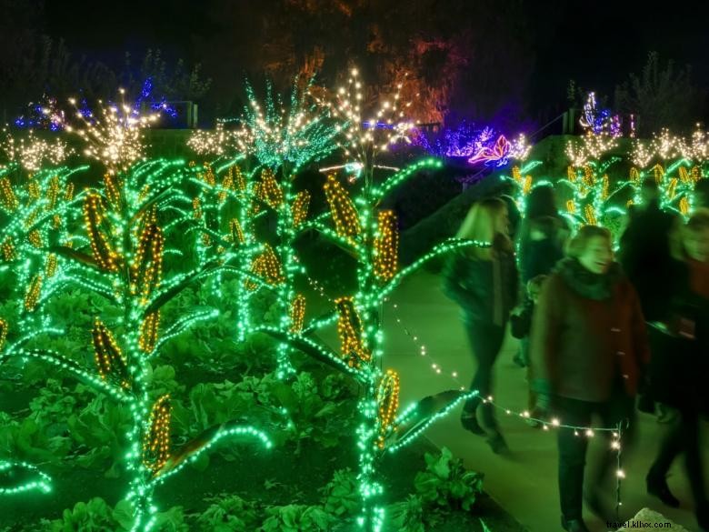 Lumières de jardin, Nuits de vacances 