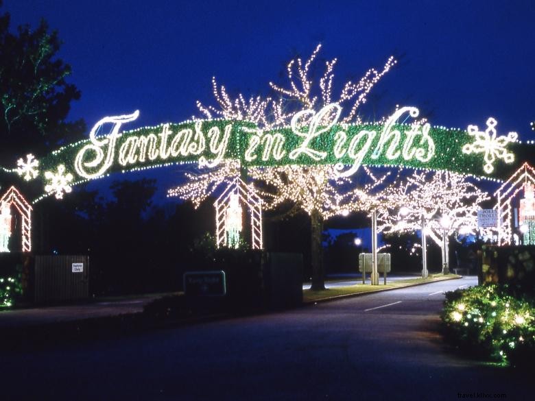 Fantasy In Lights 