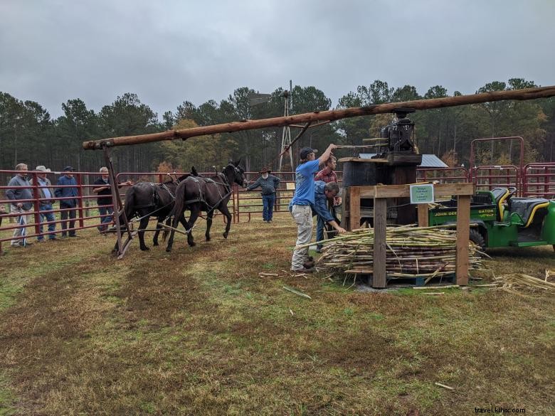 Dauset Trails Syrup Festival 