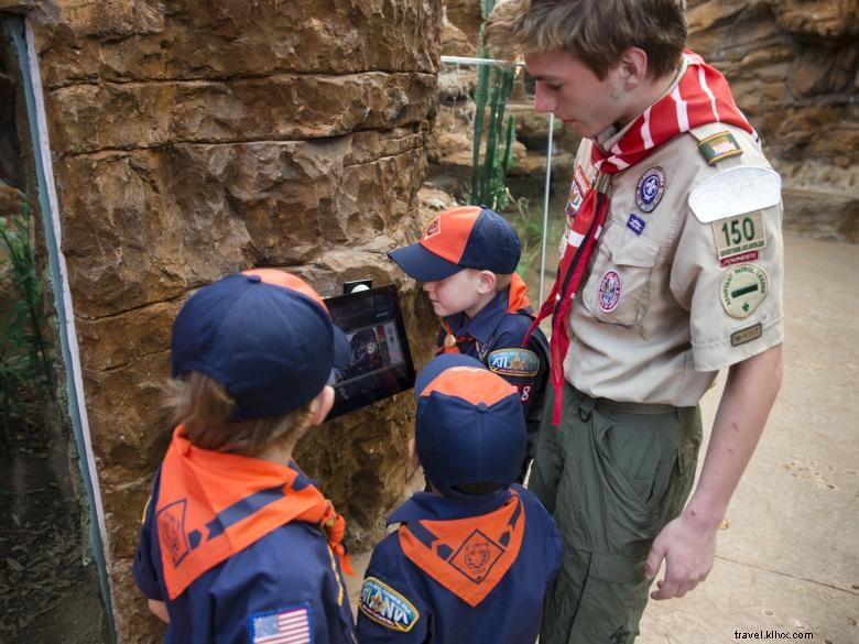 Día de Apreciación Scout 