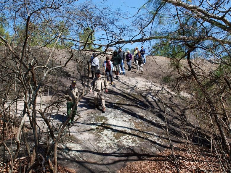 Caminata extendida de Friends of Panola Mountain 