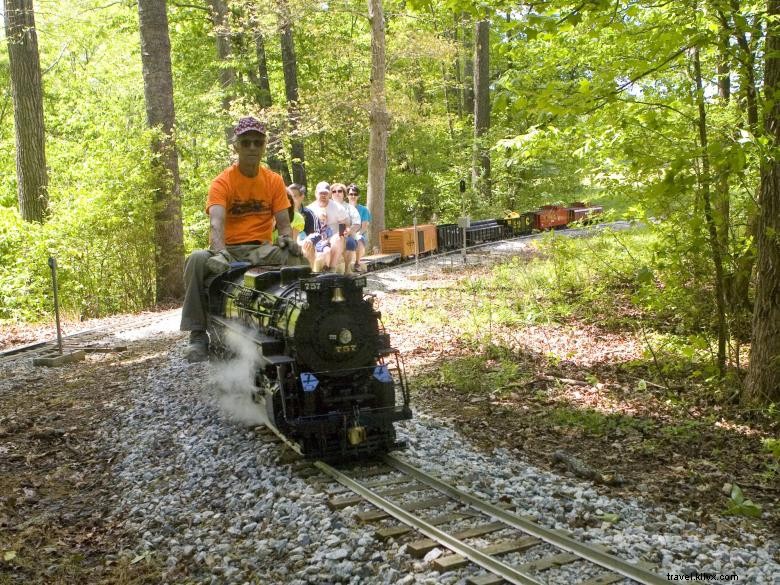 Vapores en vivo del norte de Georgia:paseos en tren 