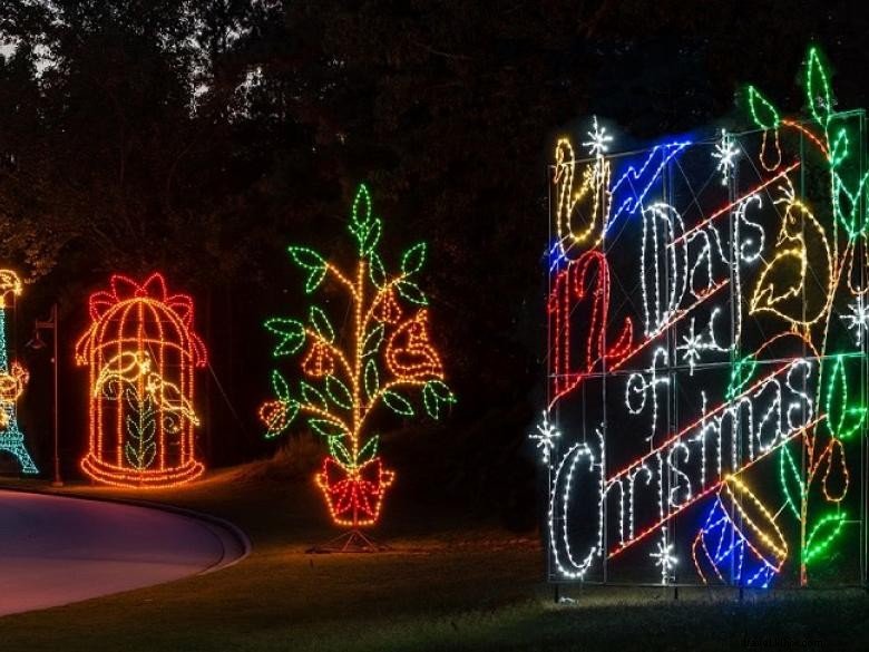 Spectacle de lumière au bord du lac de Margaritavilles 