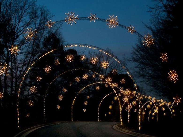 Spectacle de lumière au bord du lac de Margaritavilles 