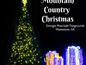 ライトの山の国のクリスマス 