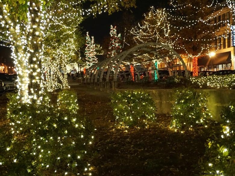 Stravaganza dello spettacolo di luci di Natale sulla strada principale 